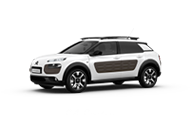 C4 Cactus