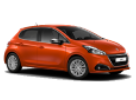 New 208